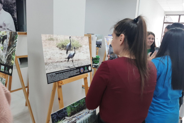 Предоставлено Молодежным клубом РГО на базе МКОУ СОШ 1 с.п. Кахун