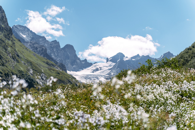 Влада Волкова Влада Волкова