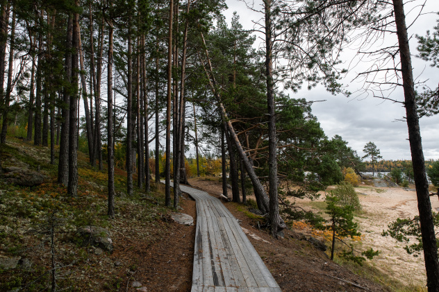 Муромский заказник Муромский заказник