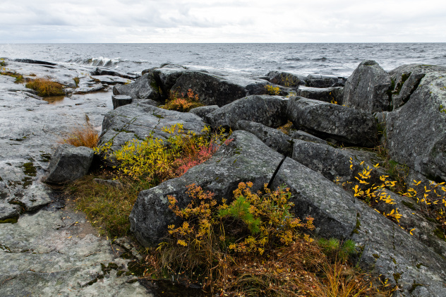 Муромский заказник Муромский заказник