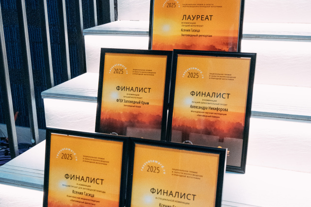 Награды Награды