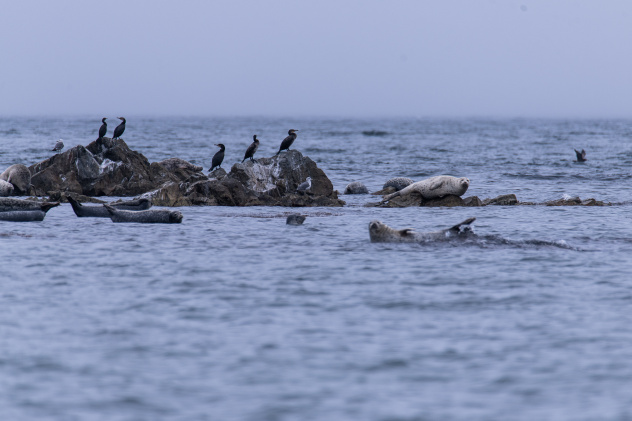 Ксения Михайлова