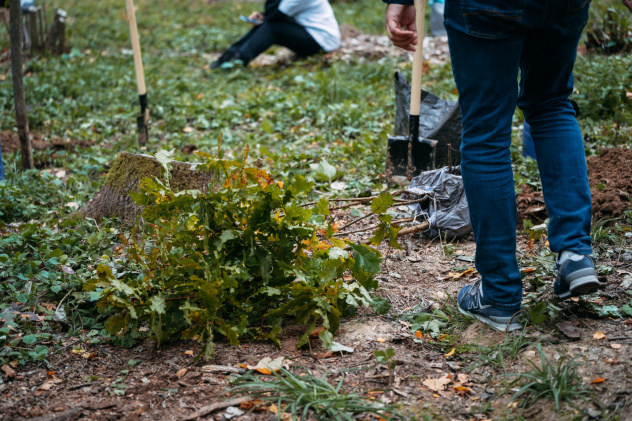 Влада Волкова Влада Волкова