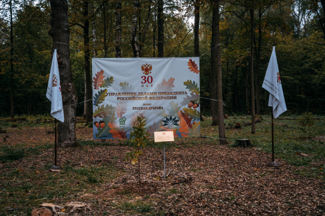 Влада Волкова Влада Волкова