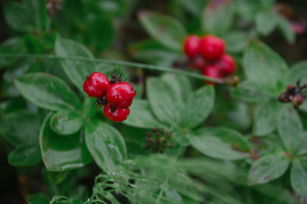 Анастасия Клепинина