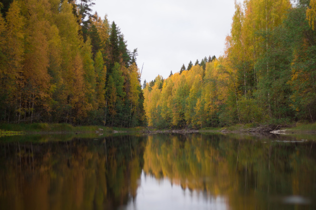 Анастасия Клепинина Анастасия Клепинина