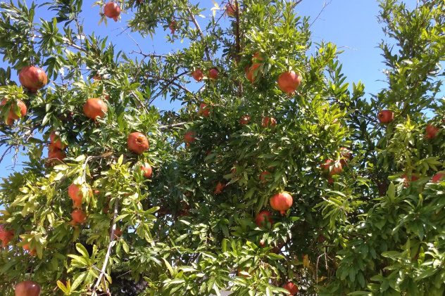 Молодежный клуб РГО в Республике Крым Молодежный клуб РГО в Республике Крым