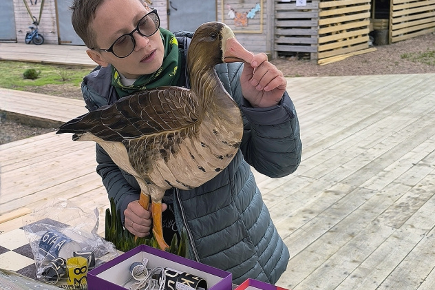 Елена Елисеева