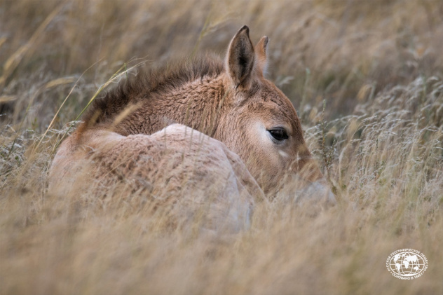 Светлана Горбатых Светлана Горбатых
