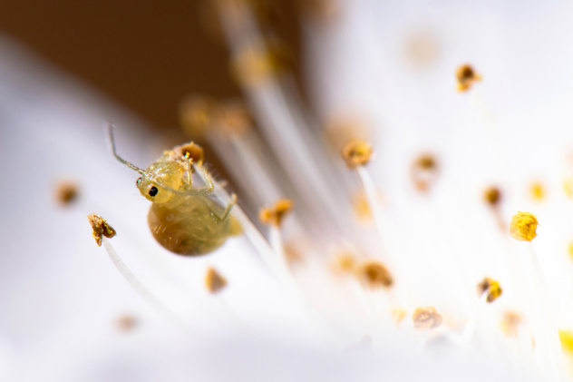 Алексей Перелыгин