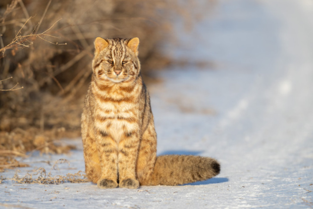 Иван Боровков, участник фотоконкурса РГО "Самая красивая страна" Иван Боровков, участник фотоконкурса РГО "Самая красивая страна"