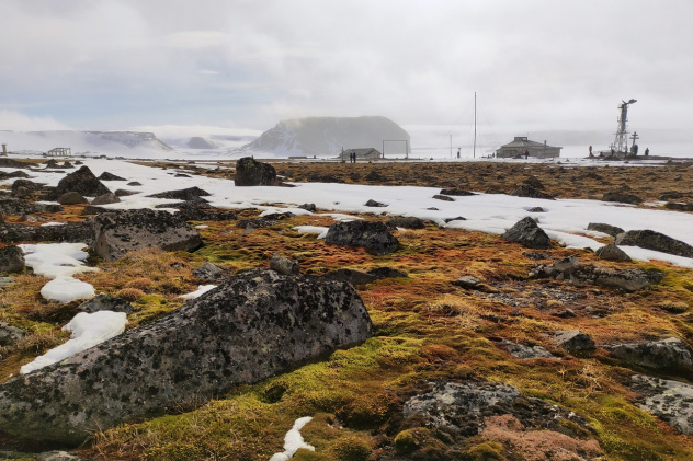 остров Гукера, полярная станция "Бухта Тихая" остров Гукера, полярная станция "Бухта Тихая"