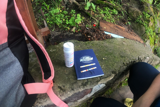 Активисты МК РГО "Импульс" Активисты МК РГО "Импульс"