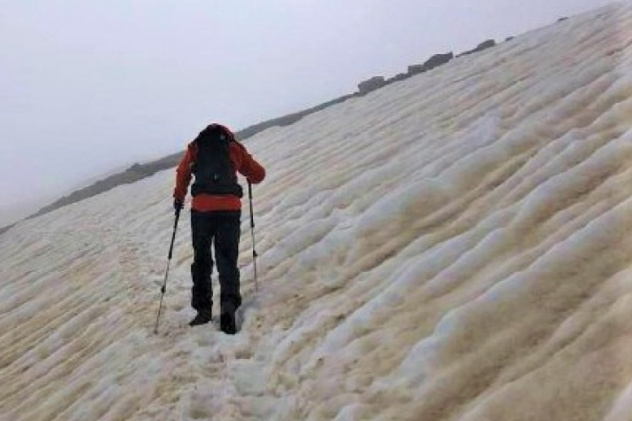 Предоставлено Молодёжным клубом РГО "Импульс"