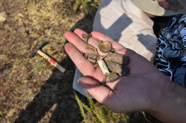 Молодежный клуб РГО "Оренбуржье" Молодежный клуб РГО "Оренбуржье"