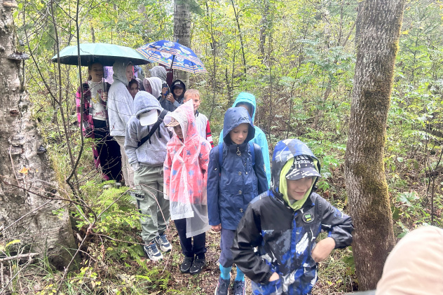 Экологическая тропа Экологическая тропа