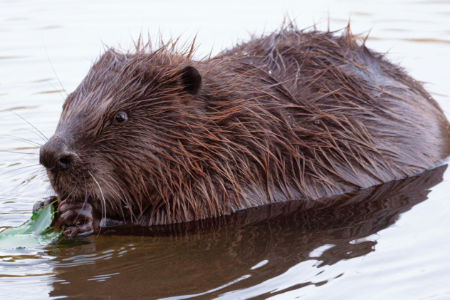 Тамара Вотинцева, участница фотоконкурса РГО "Самая красивая страна"