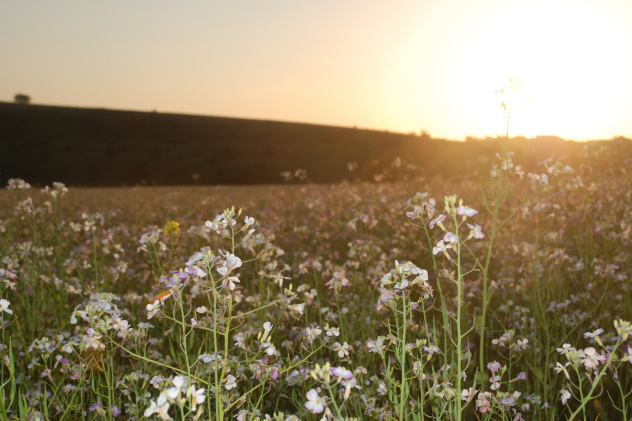Кирилл Болотнюк, участник фотоконкурса РГО "Самая красивая страна" Кирилл Болотнюк, участник фотоконкурса РГО "Самая красивая страна"
