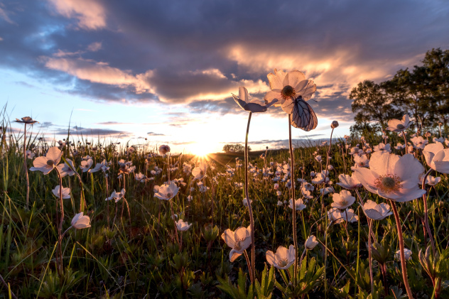 Автор: Сергей Лапин, участник фотоконкурса РГО "Самая красивая страна" Автор: Сергей Лапин, участник фотоконкурса РГО "Самая красивая страна"
