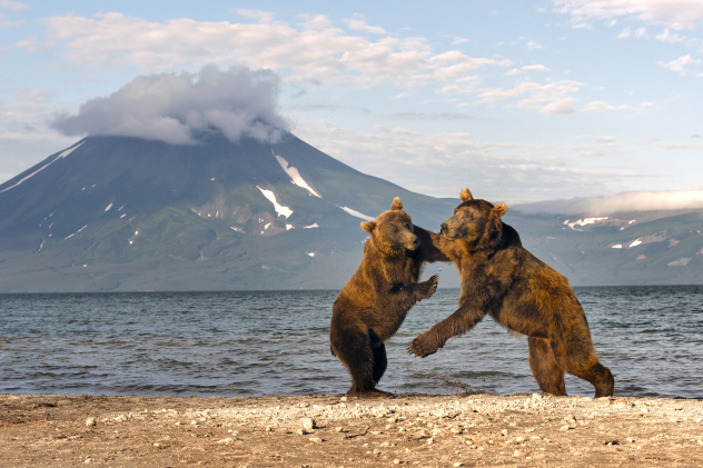 Вулкан Вулкан