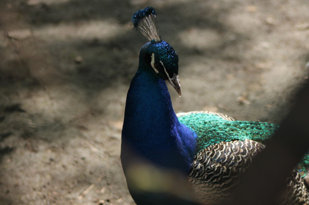 Полина Лепеха, участница фотоконкурса РГО "Самая красивая страна" Полина Лепеха, участница фотоконкурса РГО "Самая красивая страна"