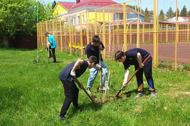 Виктория Жирова