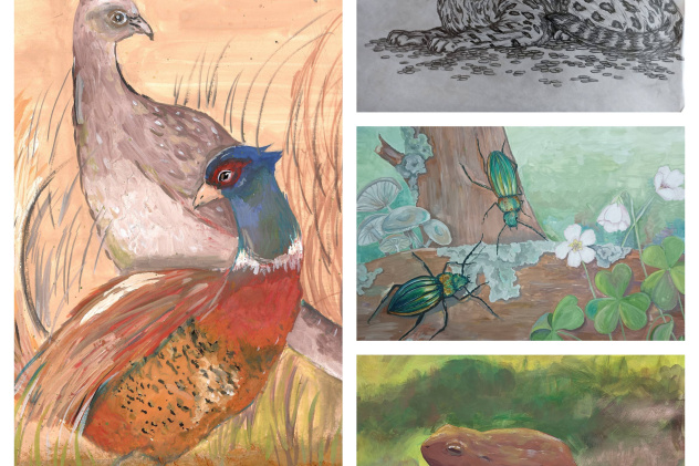 Конкурсные работы Конкурсные работы