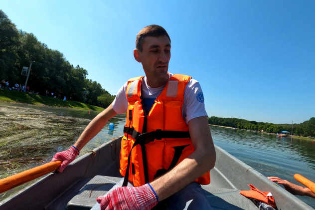 Регата Регата