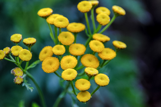 Злата Лищишина, участница фотоконкурса РГО "Самая красивая страна" Злата Лищишина, участница фотоконкурса РГО "Самая красивая страна"