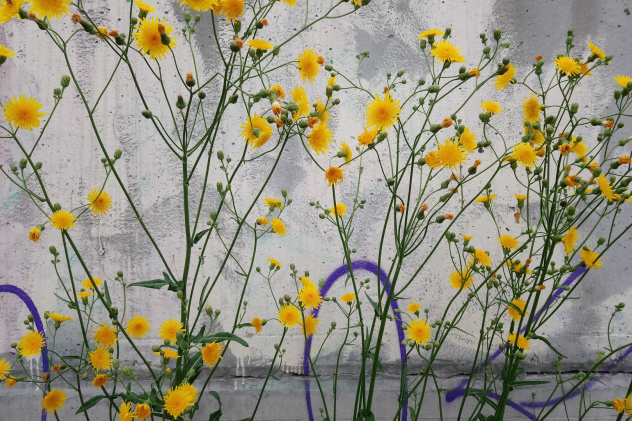 Андрей Есаулов, участник фотоконкурса РГО "Самая красивая страна"