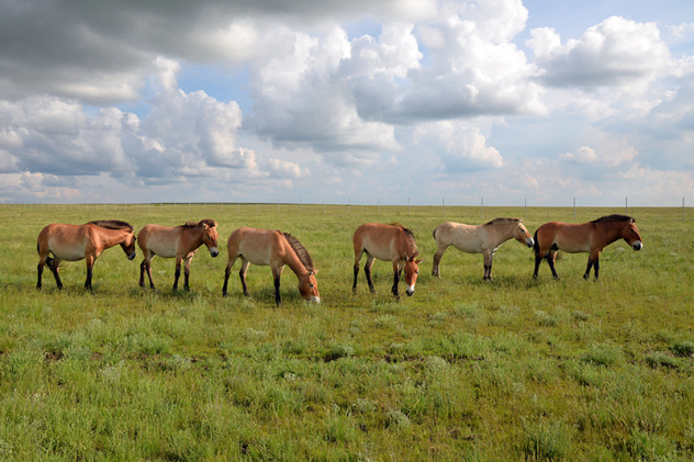 Татьяна Жарких Татьяна Жарких