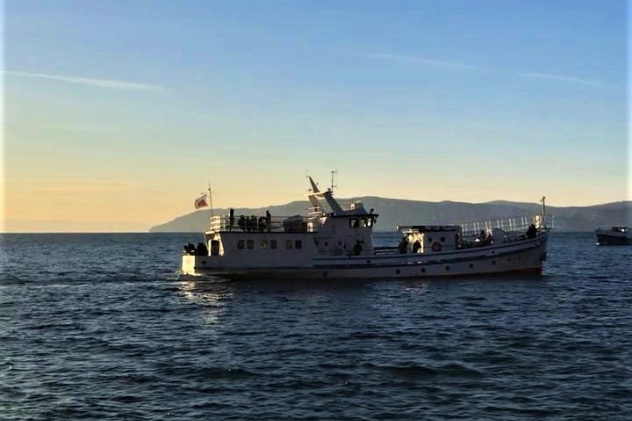 Дарья Агадулина Дарья Агадулина