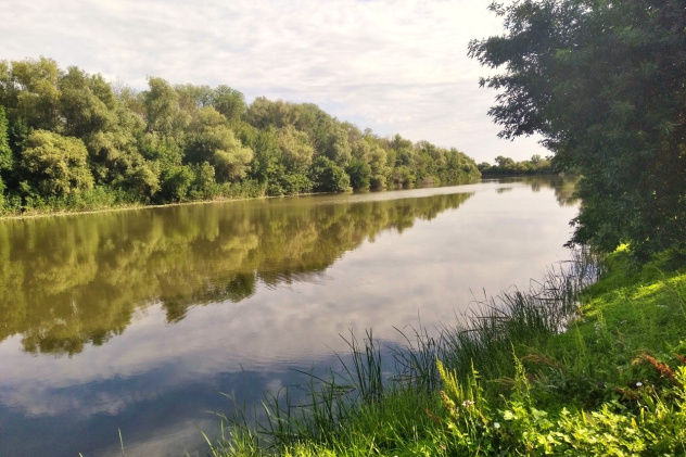 Дельта Волги