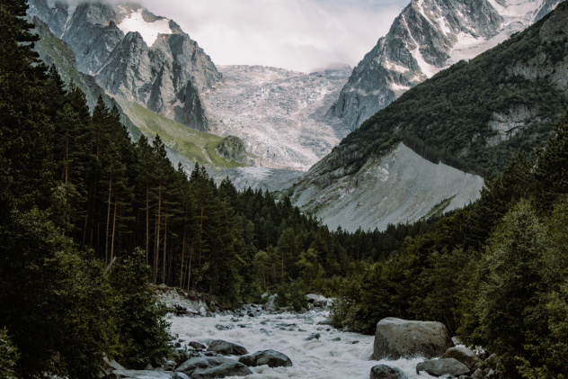 Дмитрий Шорохов