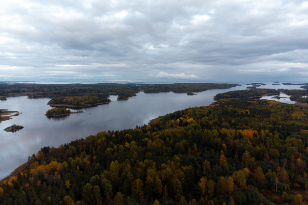 Антон Егоров Антон Егоров