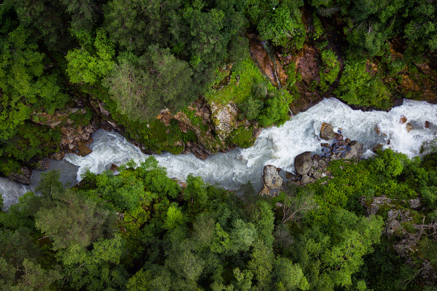 Виктория Кузнецова