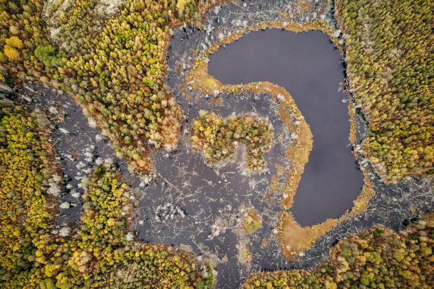 Волкова Влада Волкова Влада