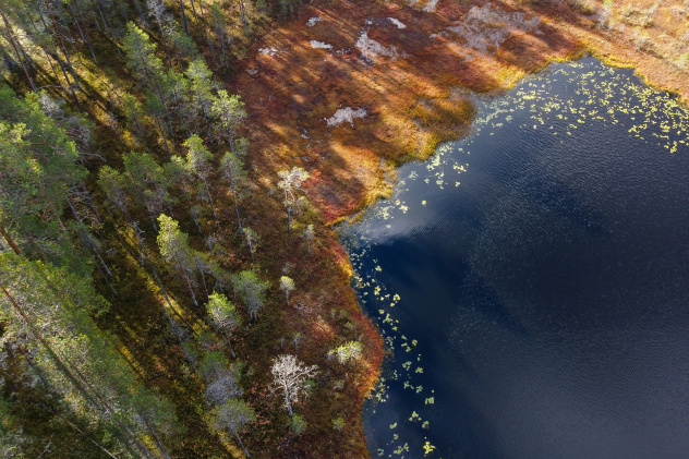 Заповедник Кивач Заповедник Кивач
