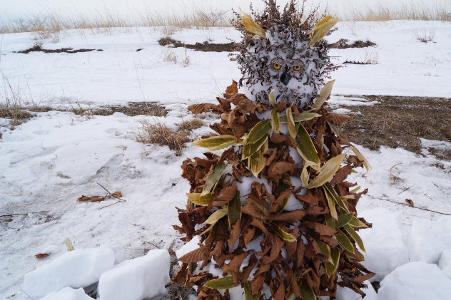 Сахалинская область