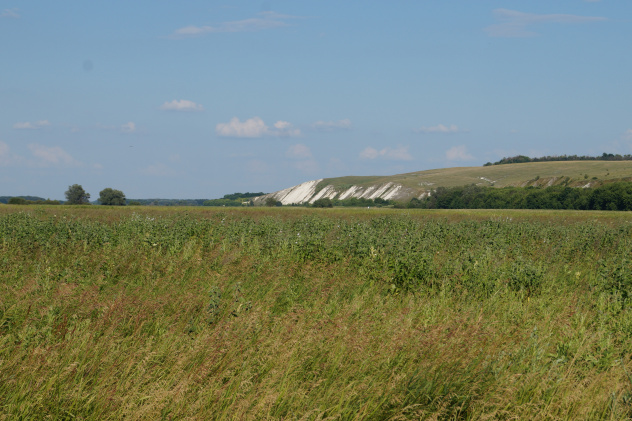 Возвращение к истокам