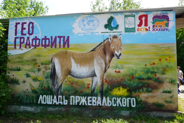 Автор: Наталья Давыдова