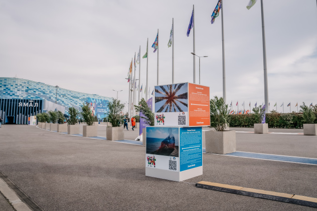 Ксения Гасица