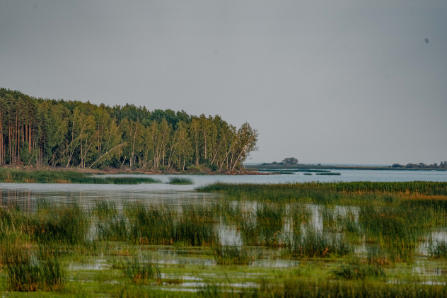 Михаил Погомий Михаил Погомий