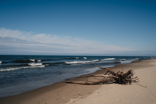 Ксения Чайкина