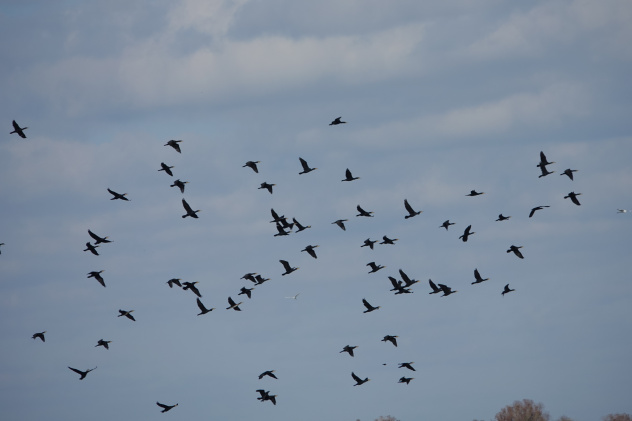 Предоставлено организаторами Предоставлено организаторами