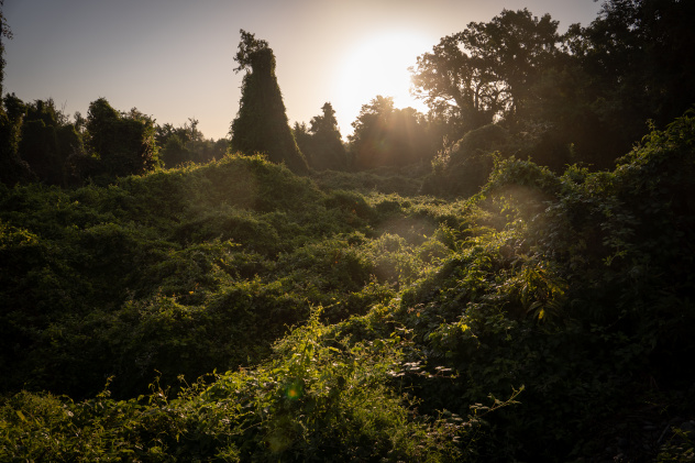 Самурский национальный парк