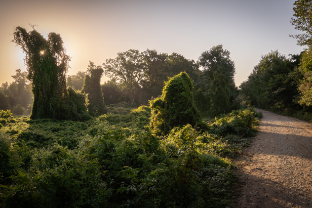 Роман Ромохов