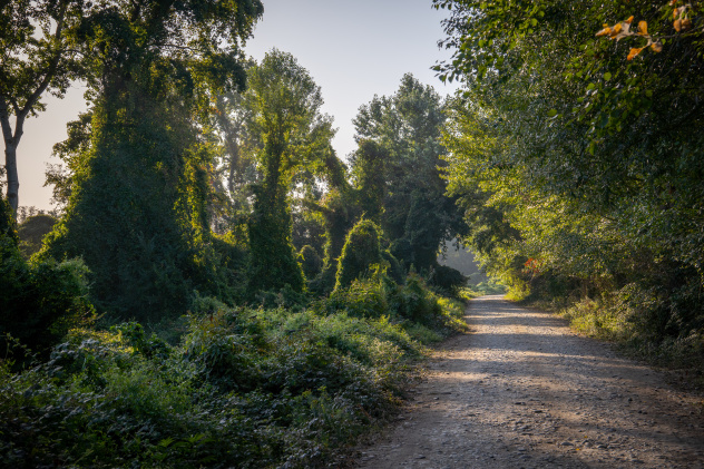 Самурский лес