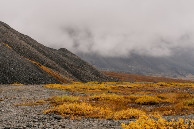 Эгвекинот, Чукотский АО Эгвекинот, Чукотский АО