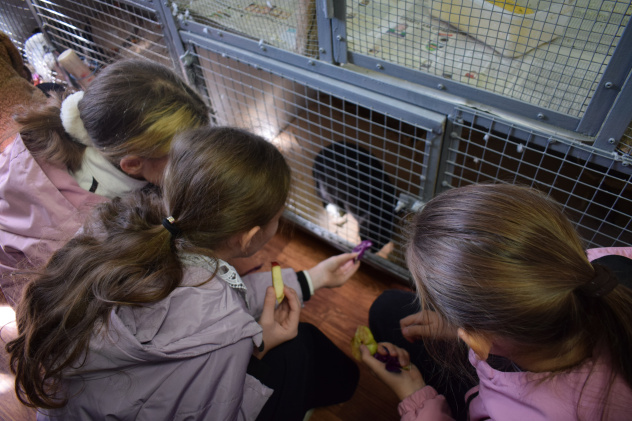 День защиты животных - 2025 День защиты животных - 2025